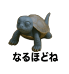 青いカメのリアルスタンプ（個別スタンプ：13）