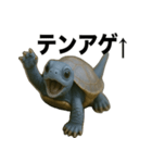 青いカメのリアルスタンプ（個別スタンプ：15）