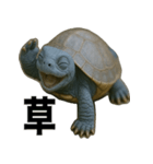 青いカメのリアルスタンプ（個別スタンプ：21）