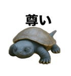 青いカメのリアルスタンプ（個別スタンプ：38）