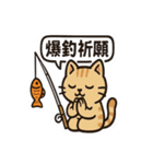 釣れるまでがんばる猫（個別スタンプ：5）
