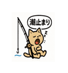 釣れるまでがんばる猫（個別スタンプ：15）