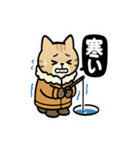釣れるまでがんばる猫（個別スタンプ：20）
