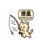 釣れるまでがんばる猫（個別スタンプ：31）