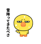 なまら目つき悪いヒヨコのスタンプ（個別スタンプ：39）