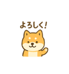しば犬 ぽん太（個別スタンプ：11）
