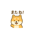 しば犬 ぽん太（個別スタンプ：16）