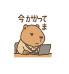 こえカピのまいにち会議（個別スタンプ：2）