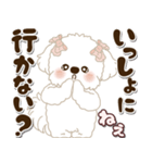 白い垂れ耳わんこさん「約束・待ち合わせ」（個別スタンプ：6）