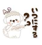 白い垂れ耳わんこさん「約束・待ち合わせ」（個別スタンプ：10）