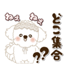 白い垂れ耳わんこさん「約束・待ち合わせ」（個別スタンプ：13）