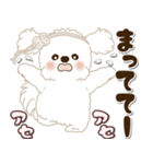 白い垂れ耳わんこさん「約束・待ち合わせ」（個別スタンプ：20）