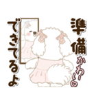白い垂れ耳わんこさん「約束・待ち合わせ」（個別スタンプ：25）