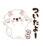 白い垂れ耳わんこさん「約束・待ち合わせ」（個別スタンプ：31）