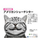 架空動物図鑑 vol.5(猫特集)（個別スタンプ：1）