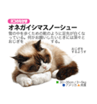 架空動物図鑑 vol.5(猫特集)（個別スタンプ：4）