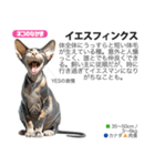 架空動物図鑑 vol.5(猫特集)（個別スタンプ：5）
