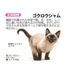 架空動物図鑑 vol.5(猫特集)（個別スタンプ：7）