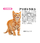 架空動物図鑑 vol.5(猫特集)（個別スタンプ：8）
