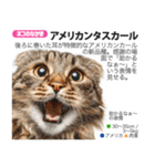 架空動物図鑑 vol.5(猫特集)（個別スタンプ：9）