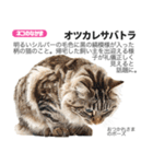 架空動物図鑑 vol.5(猫特集)（個別スタンプ：10）