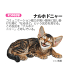 架空動物図鑑 vol.5(猫特集)（個別スタンプ：11）