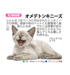 架空動物図鑑 vol.5(猫特集)（個別スタンプ：13）