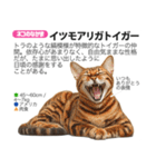 架空動物図鑑 vol.5(猫特集)（個別スタンプ：14）