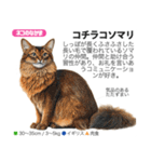 架空動物図鑑 vol.5(猫特集)（個別スタンプ：15）