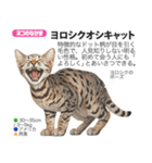 架空動物図鑑 vol.5(猫特集)（個別スタンプ：16）