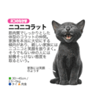架空動物図鑑 vol.5(猫特集)（個別スタンプ：17）