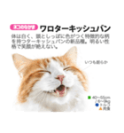 架空動物図鑑 vol.5(猫特集)（個別スタンプ：19）