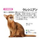 架空動物図鑑 vol.5(猫特集)（個別スタンプ：21）