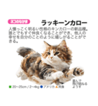 架空動物図鑑 vol.5(猫特集)（個別スタンプ：22）