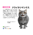 架空動物図鑑 vol.5(猫特集)（個別スタンプ：24）