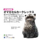 架空動物図鑑 vol.5(猫特集)（個別スタンプ：26）