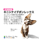 架空動物図鑑 vol.5(猫特集)（個別スタンプ：30）