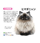 架空動物図鑑 vol.5(猫特集)（個別スタンプ：31）