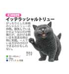 架空動物図鑑 vol.5(猫特集)（個別スタンプ：32）