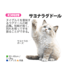 架空動物図鑑 vol.5(猫特集)（個別スタンプ：34）
