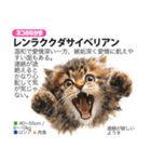 架空動物図鑑 vol.5(猫特集)（個別スタンプ：35）