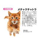 架空動物図鑑 vol.5(猫特集)（個別スタンプ：38）