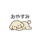落書き風トイプー アプリコット(日常会話)（個別スタンプ：2）