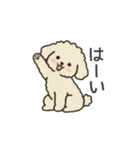 落書き風トイプー アプリコット(日常会話)（個別スタンプ：4）