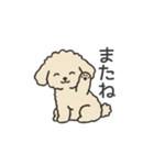 落書き風トイプー アプリコット(日常会話)（個別スタンプ：6）