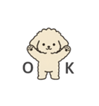 落書き風トイプー アプリコット(日常会話)（個別スタンプ：7）