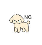 落書き風トイプー アプリコット(日常会話)（個別スタンプ：8）