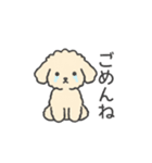 落書き風トイプー アプリコット(日常会話)（個別スタンプ：15）