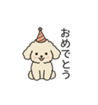 落書き風トイプー アプリコット(日常会話)（個別スタンプ：18）