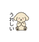 落書き風トイプー アプリコット(日常会話)（個別スタンプ：21）